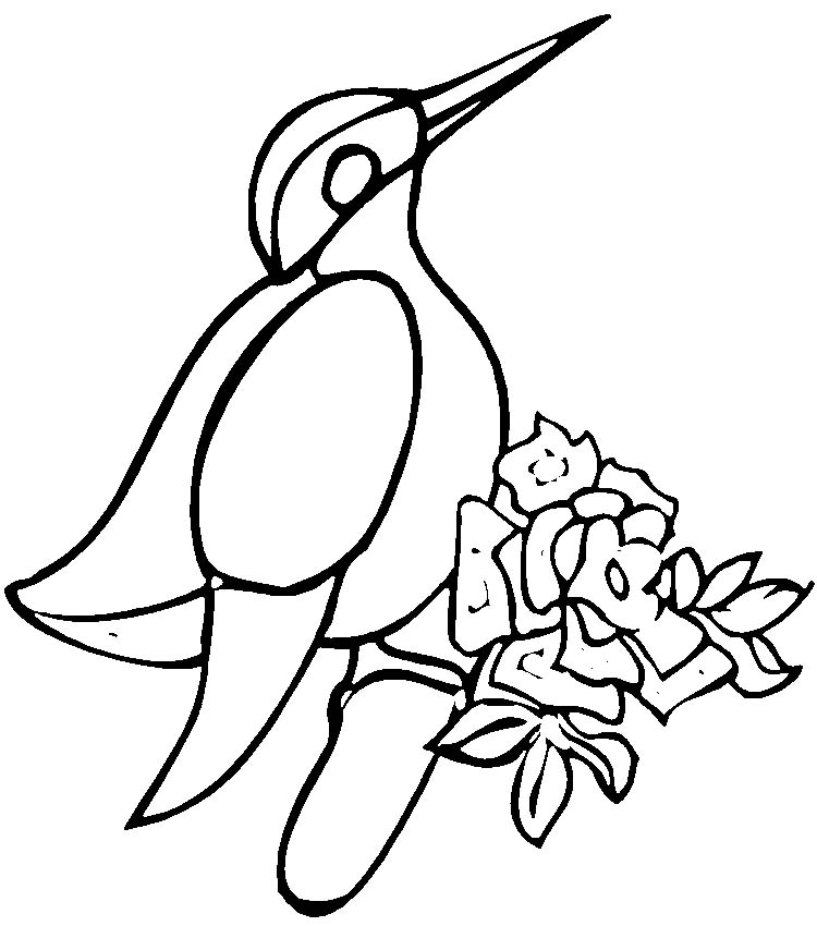 KOOKABURRA Colouring Pages