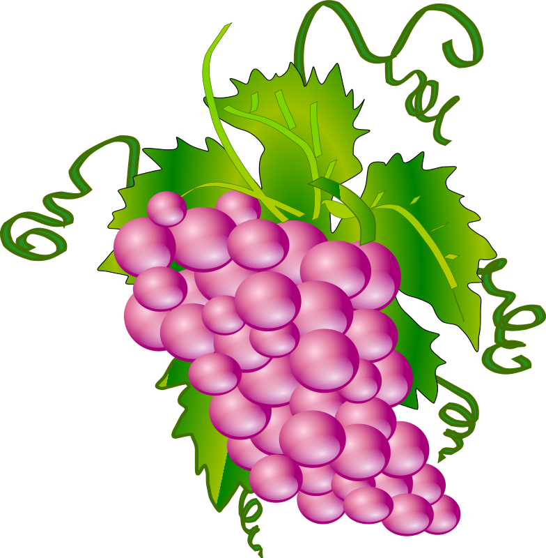 Purple Grapes Clipart