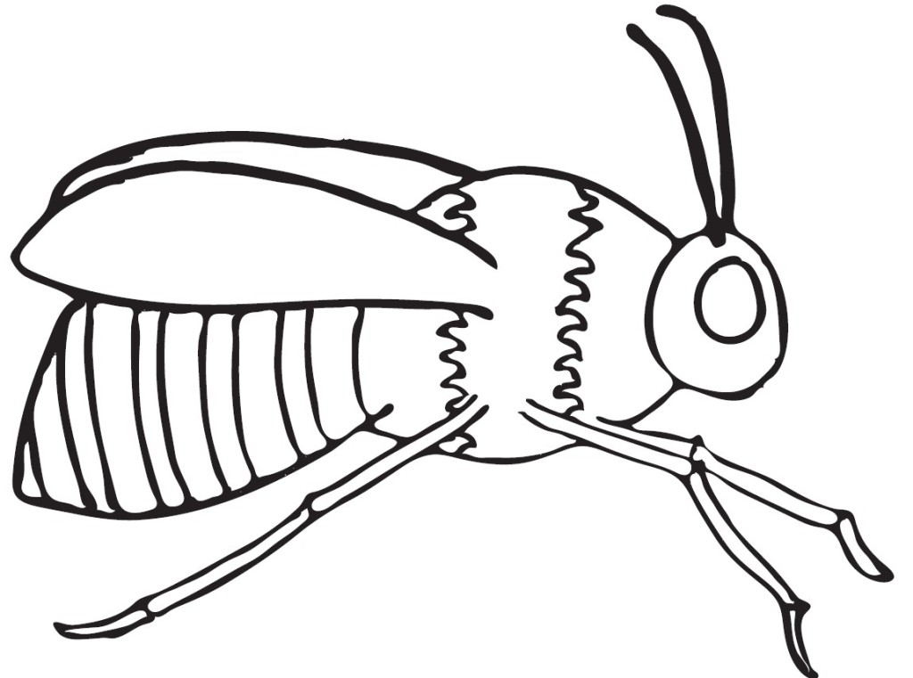 Bumble Bee Coloring Pages - Free Coloring Pages For KidsFree ...
