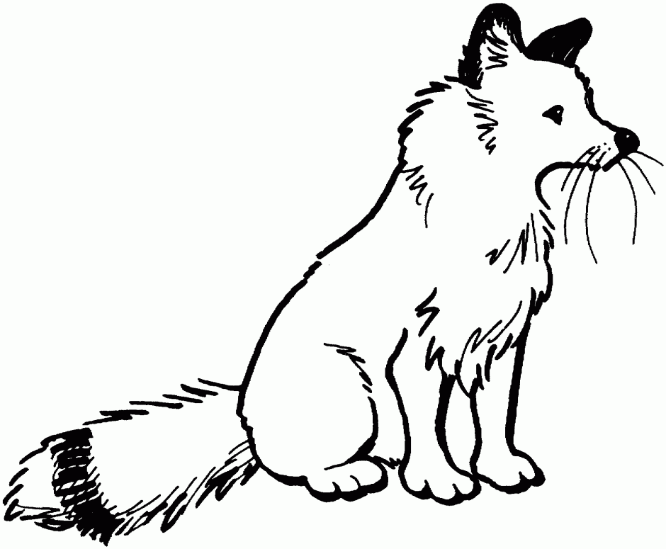 Red Fox Coloring Page : Red Fox Sit Coloring Online Super Coloring ...
