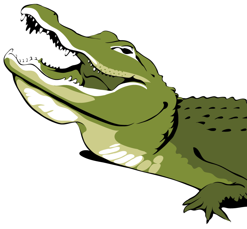 Alligator Illustration - Cliparts.co