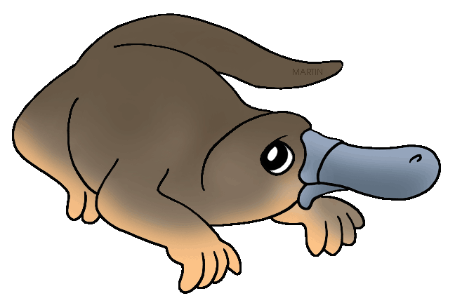 Featured image of post Platypus Clipart Free Download transparent platypus png for free on pngkey com