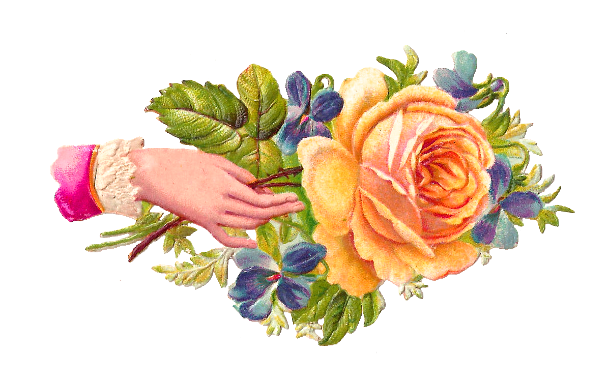Antique Images: Free Flower Graphic: Orange Rose Victorian Scrap ...
