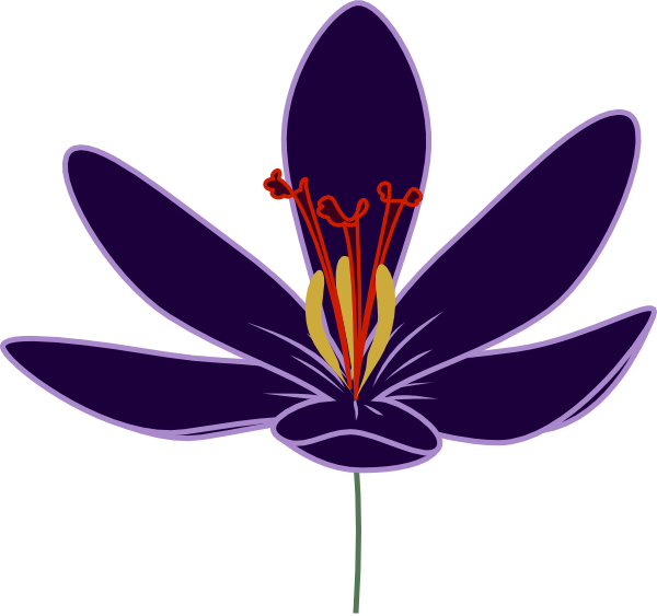 Crocus Blossom clip art - vector clip art online, royalty free ...