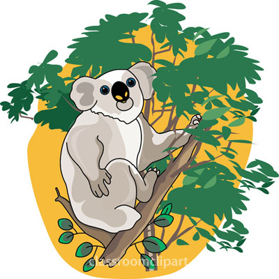 Koala Clipart : Koala_bear_in_tree_212_1A : Classroom Clipart