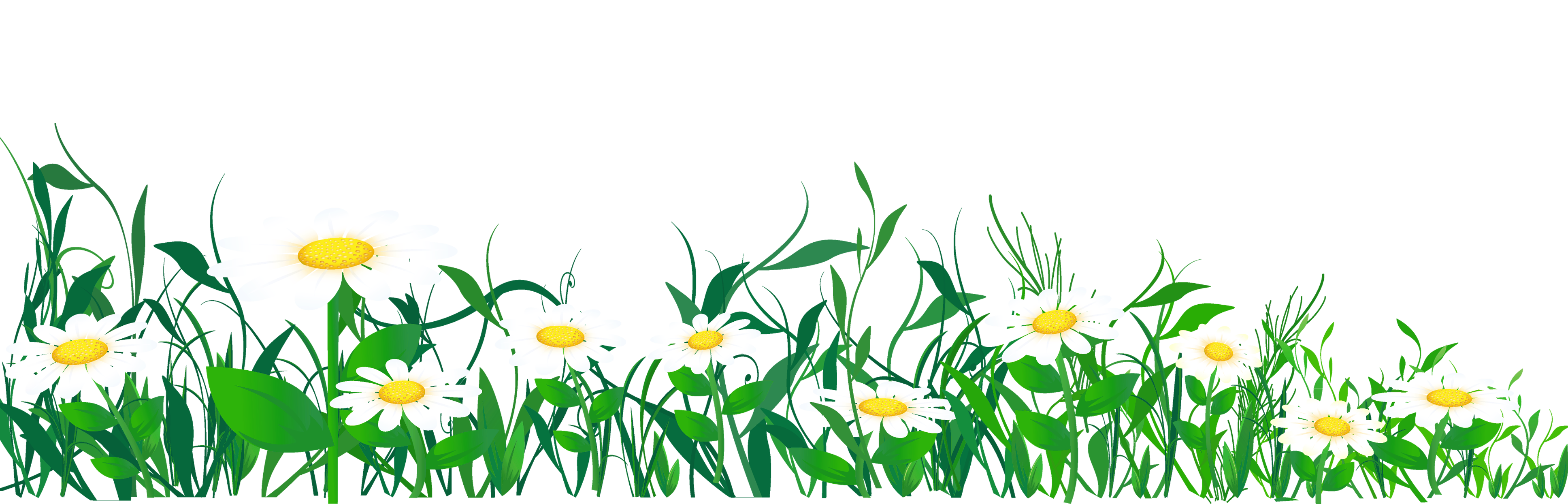 Daisies and Grass PNG Clipart Picture