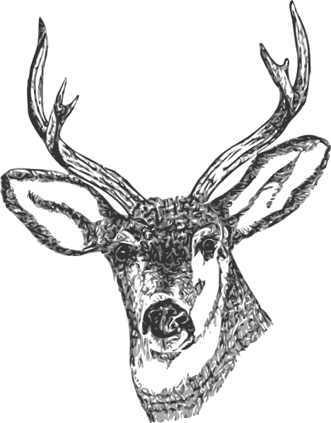 Deer Head clip art - vector clip art online, royalty free & public ...