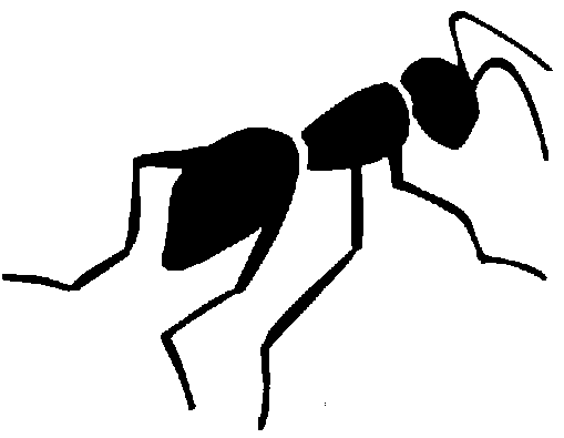 Insects In Black In White - ClipArt Best