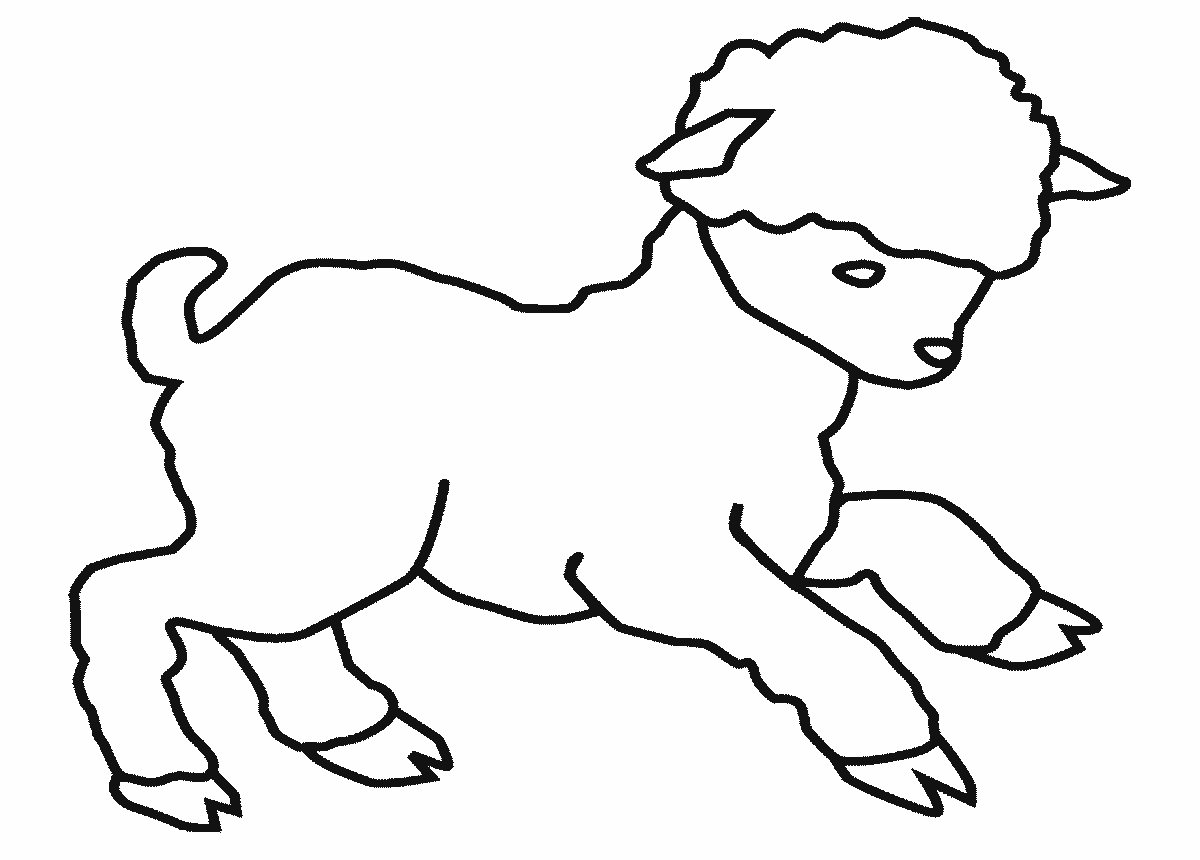Sheep coloring pages for kids - Coloring Pages & Pictures - IMAGIXS