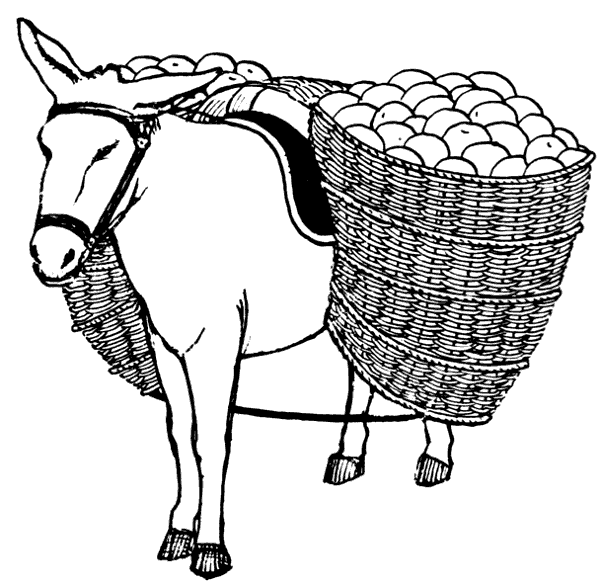 Donkey With Pannier Clip Art Download