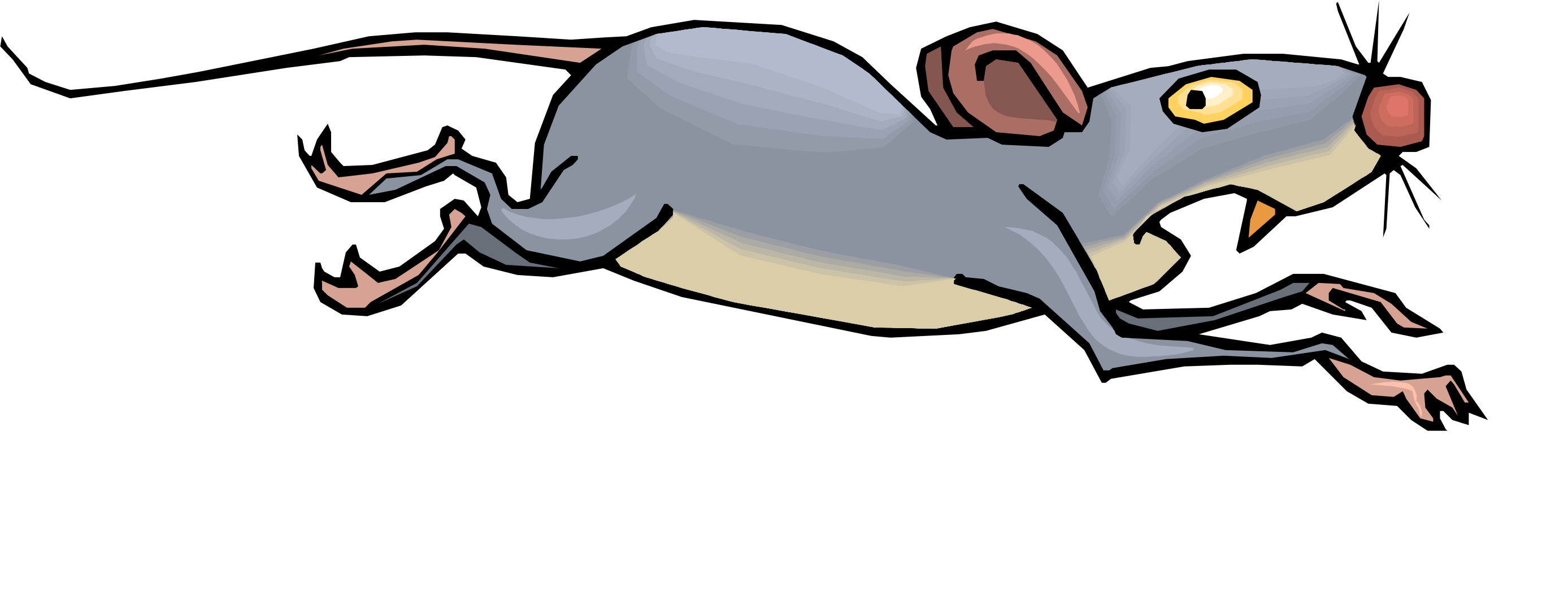 Cartoon Image Of Mouse - ClipArt Best