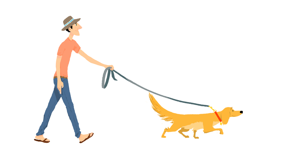 Joe Lee Blog: NY dog walker