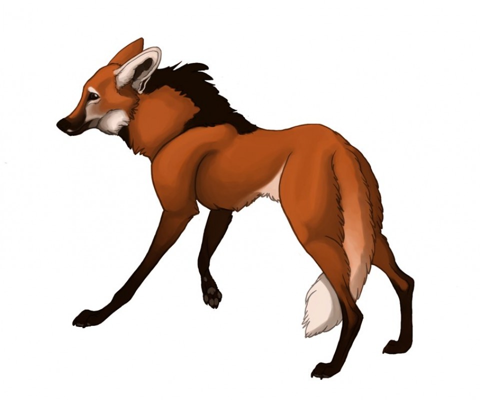 Animated Maned wolf by NoviLunar Wallpaper - Animal Backgrounds