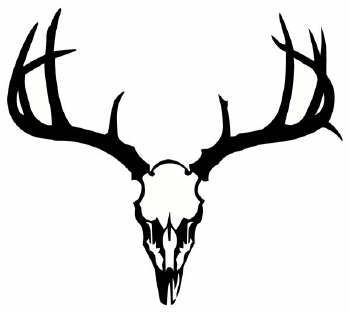 Deer Skull image - vector clip art online, royalty free & public ...