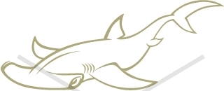 Creative Hammerhead shark whole body - Animals - Buy Clip Art ...