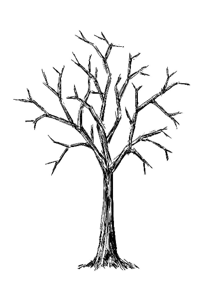 tree trunk clipart black and white - photo #47