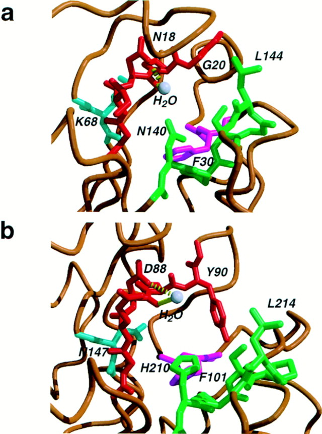 Crystal Structure of a G:T/U Mismatch-Specific DNA Glycosylase: Cell