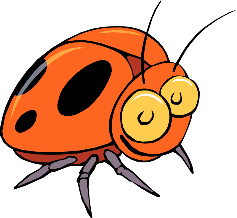 Insect 16 Free Vector / 4Vector