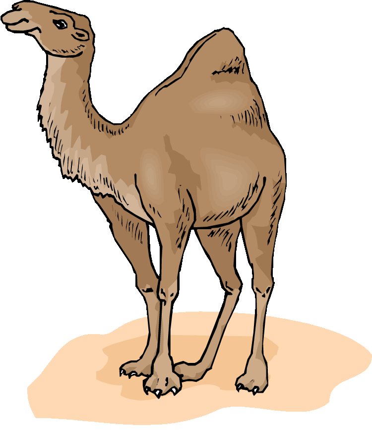 Camel 20clip 20art