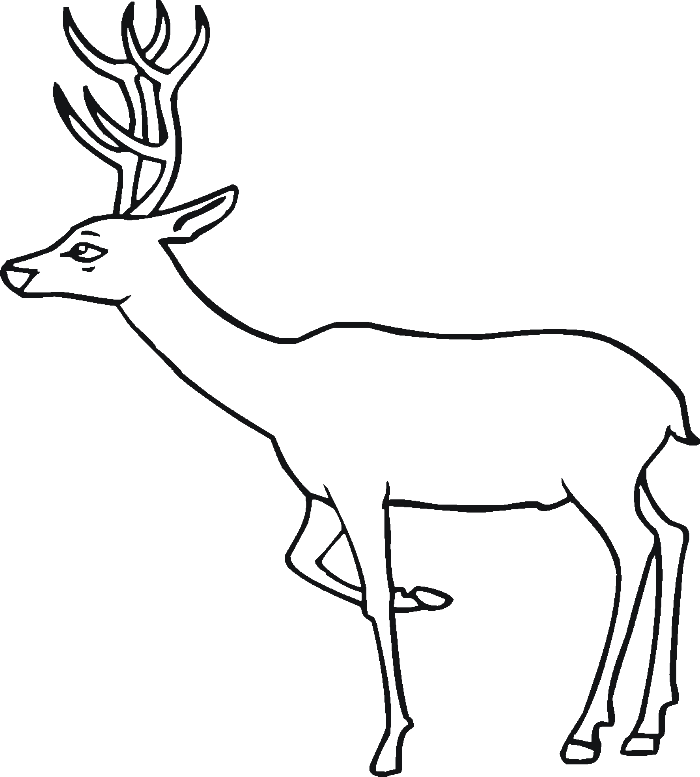 A Deer Being Relax Coloring For Kids - animal Coloring Pages ...