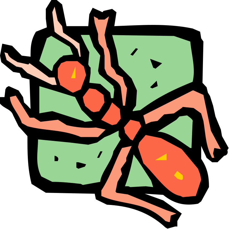 Insect 40 Free Vector / 4Vector