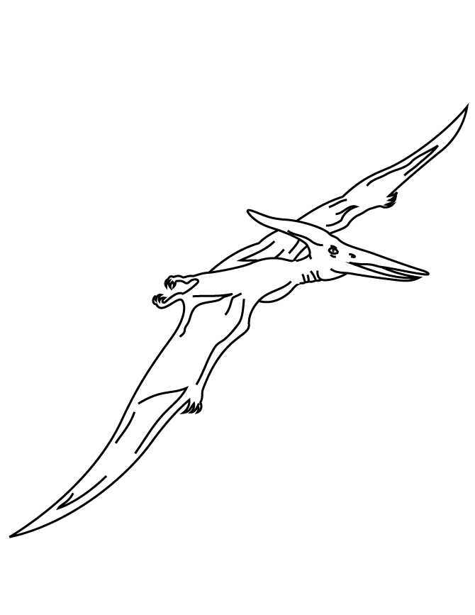 Cartoon Pterodactyl Flying Images & Pictures - Becuo