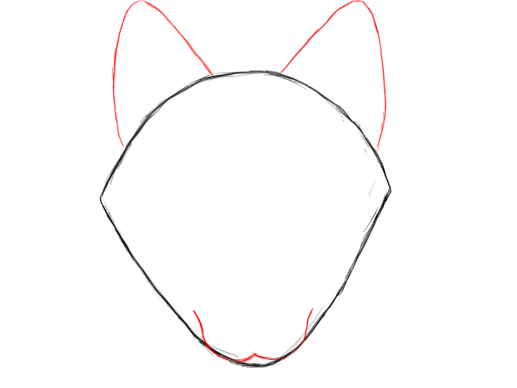 How To Draw A Wolf - Draw Central
