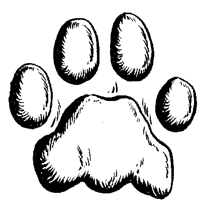 printing free vector images | Download vector about lion paw print ...
