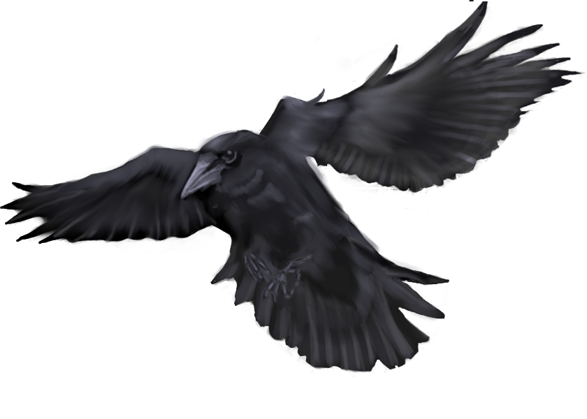 Flying Crow by 1two3four5six7 on DeviantArt