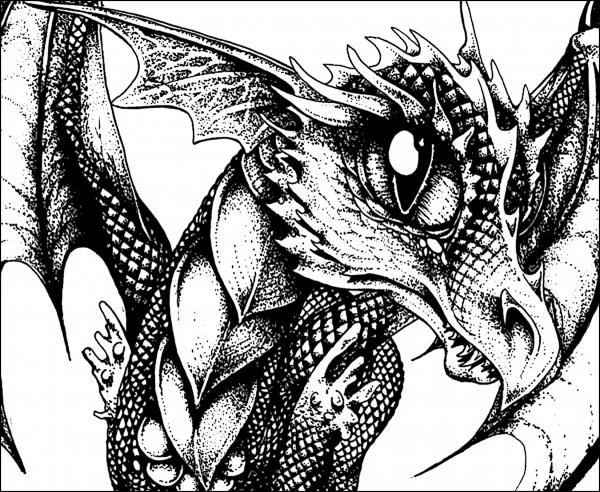 dragons drawings - get domain pictures - getdomainvids.com