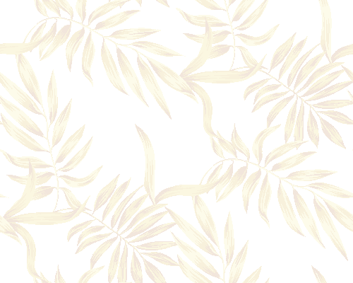 Palm leaf / Original background images
