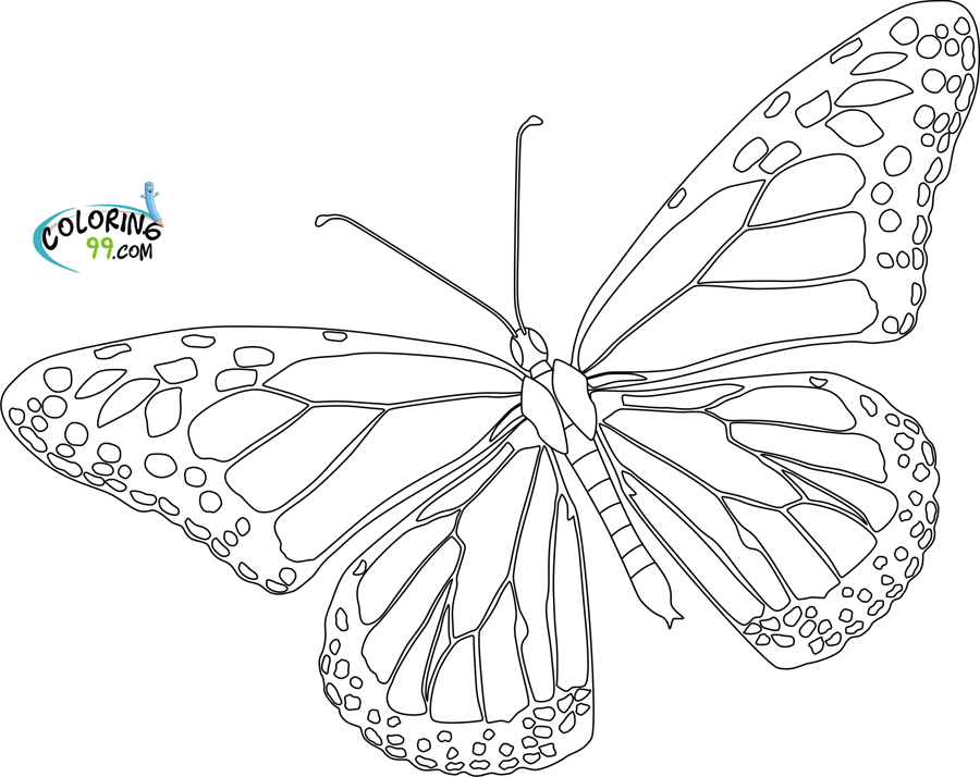 Printable Butterfly Template - AZ Coloring Pages