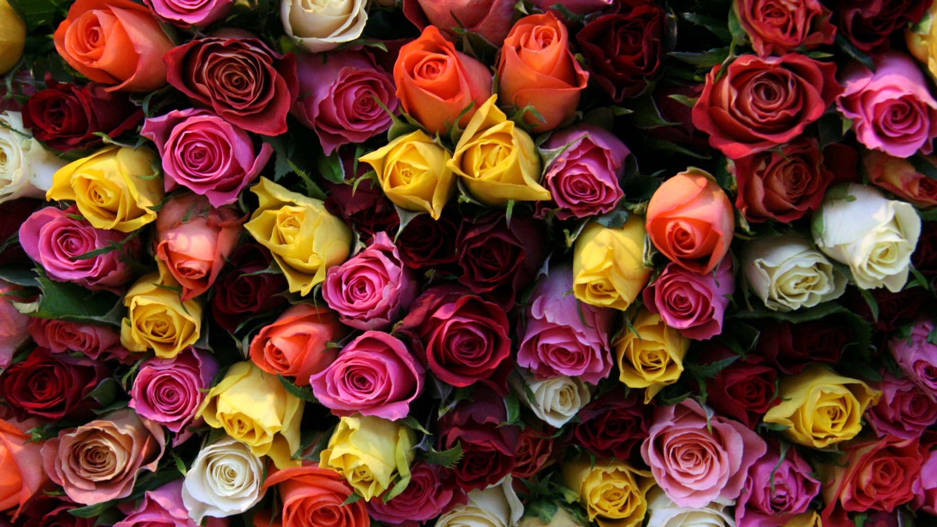 Beautiful Flower Bouquet Flowers Roses 1920x1080 22484 - 1632528