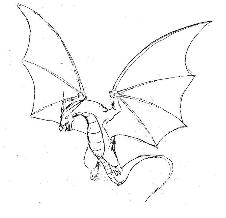simple dragon drawings with wings | Flying dragon by Shelleyn on ...