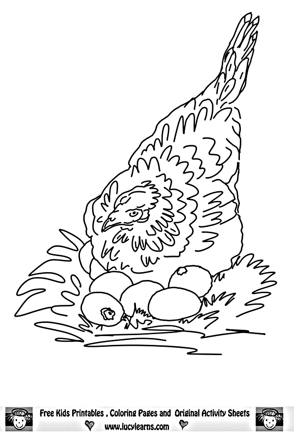 Hen Coloring Page,Lucy Learns Chicken Coloring Page Collection to ...