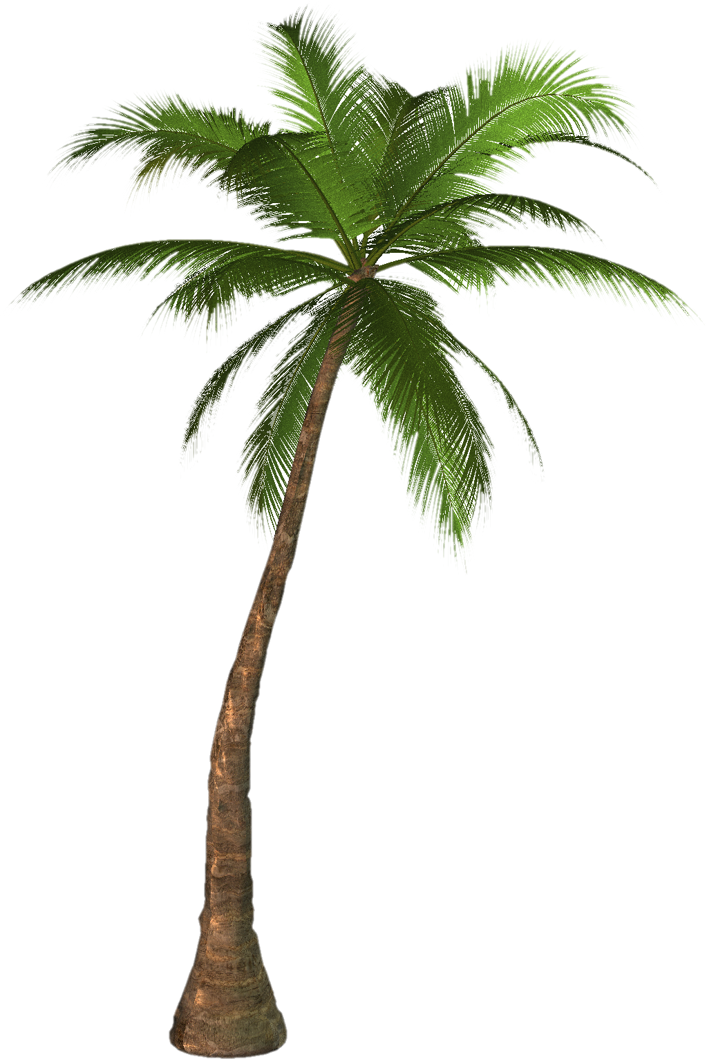 Download PNG image: Palm tree PNG