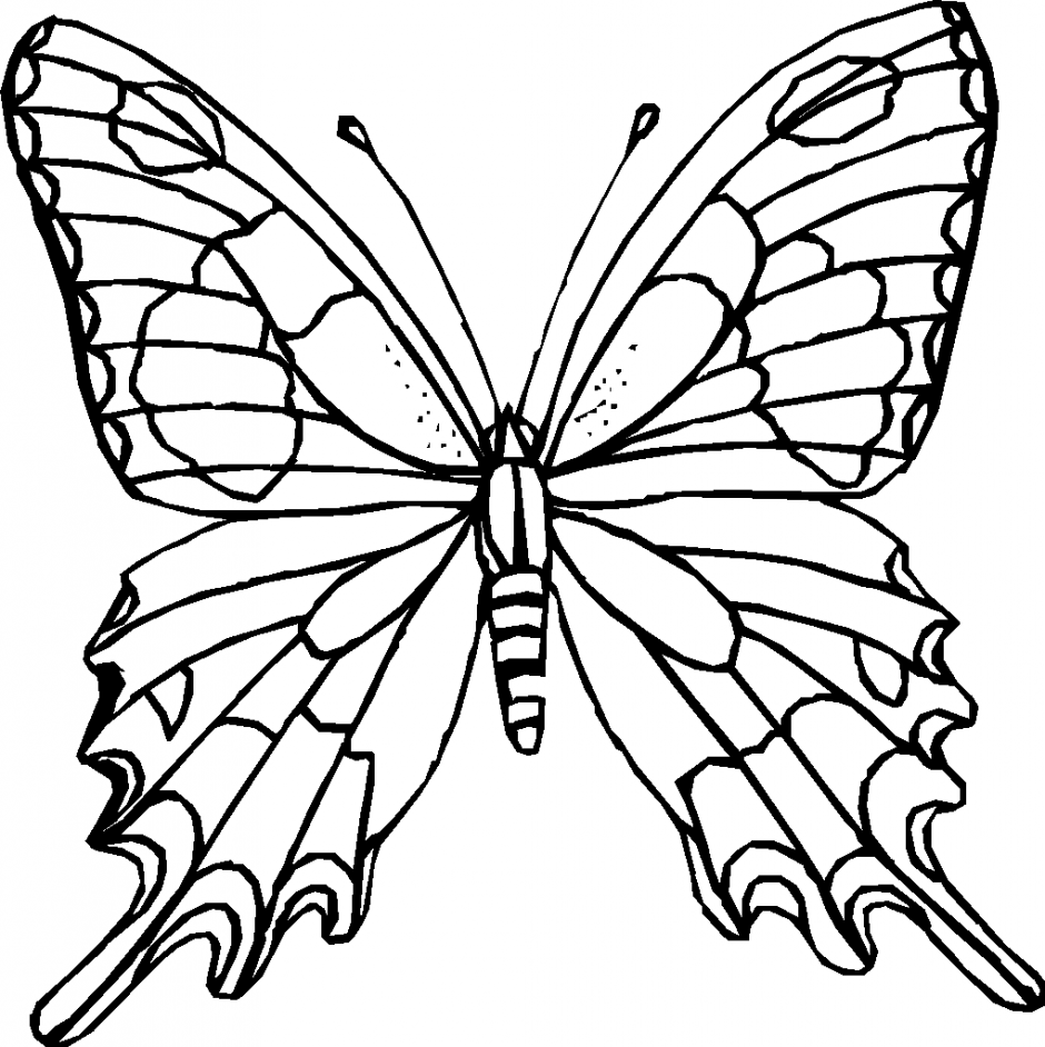 Pix For > Black And White Butterfly Outline Clip Art
