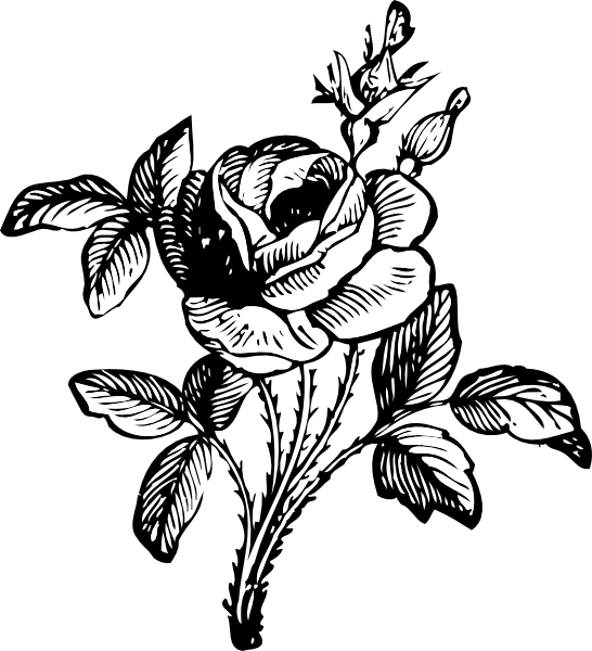 Rose clip art - vector clip art online, royalty free & public domain