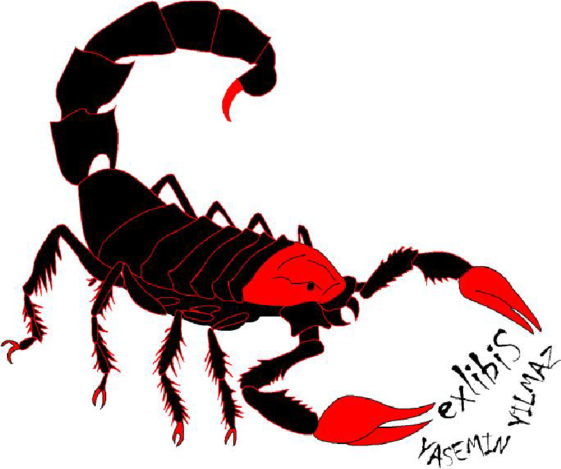 Scorpion Clip Art Free