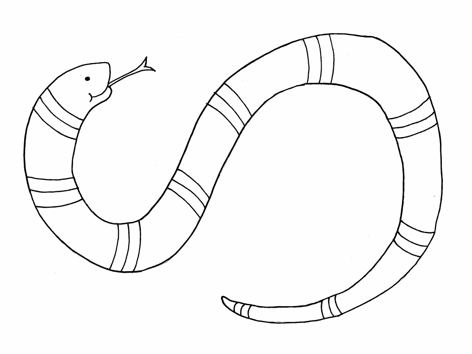 snake outline