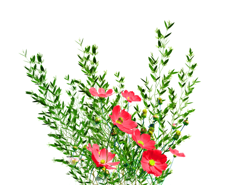 PNG Garden Flowers* by KmyGraphic on deviantART
