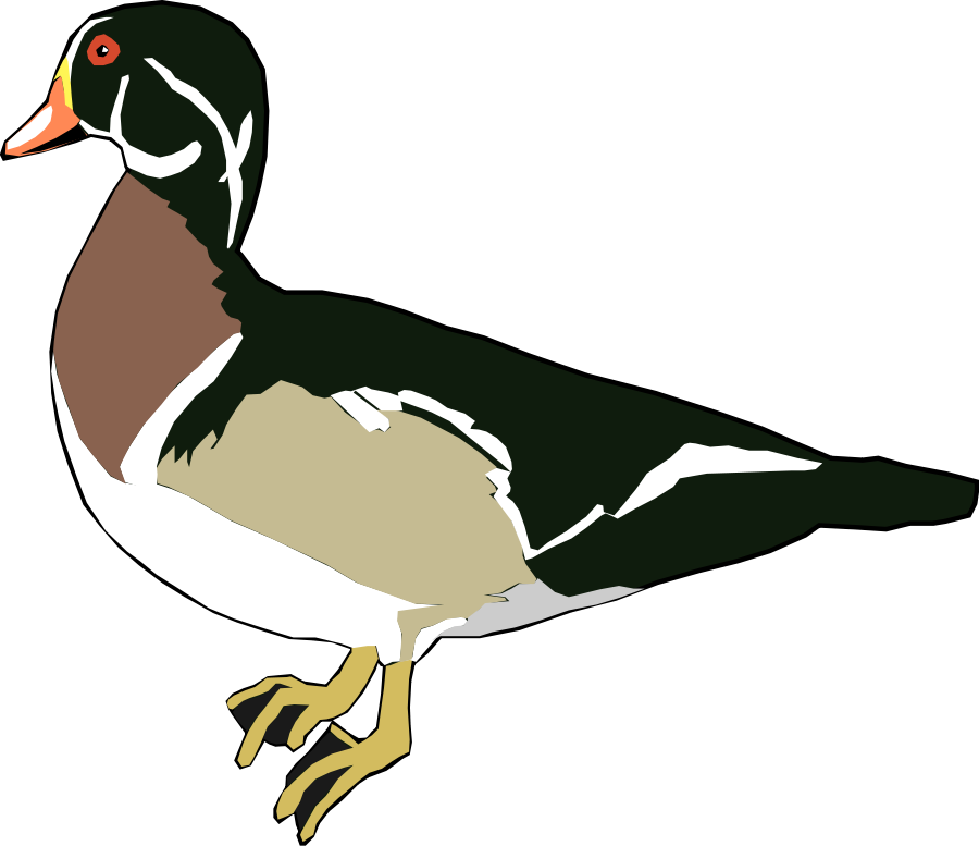 Duck Outline small clipart 300pixel size, free design