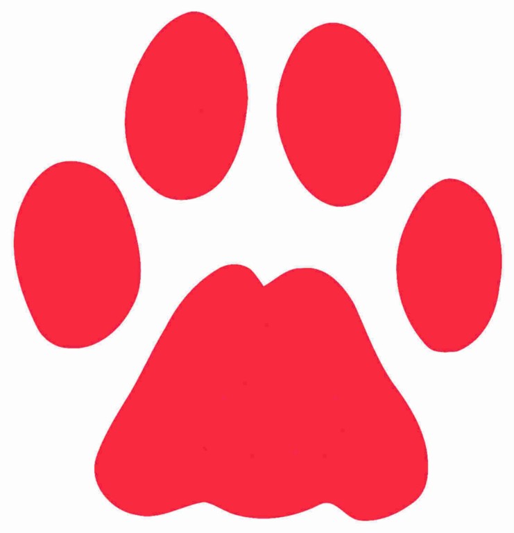 Free Paw Print Car Pictures