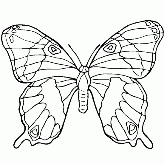 Butterfly Outline Drawings Free Line Tattoo