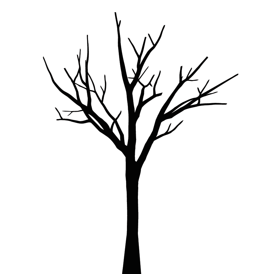 Images For > Tree Without Leaves Clipart