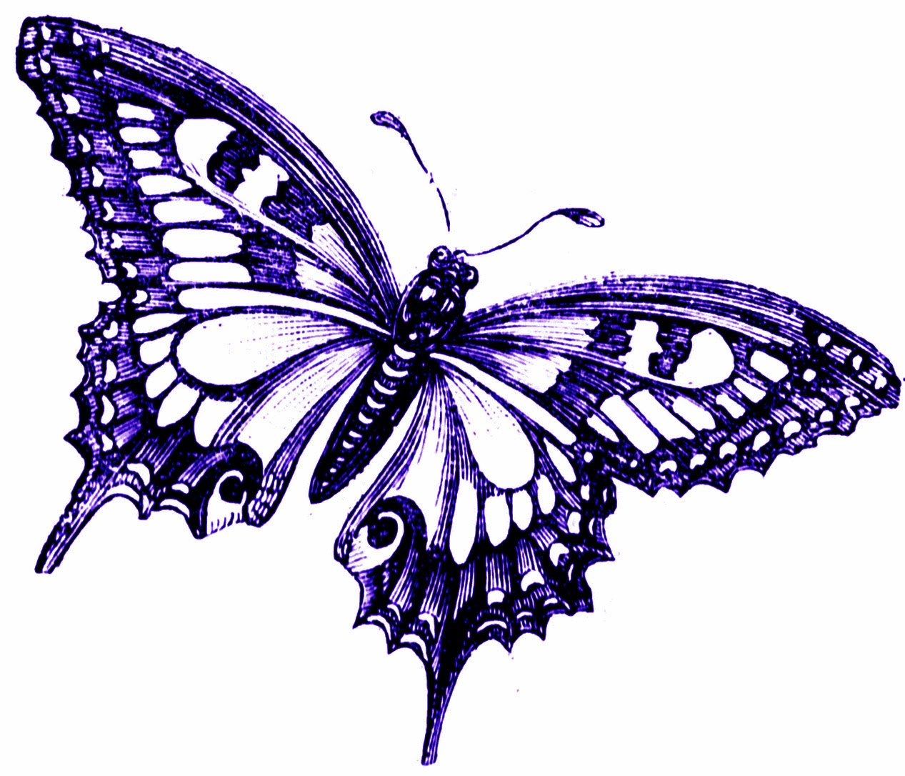 Butterfly Clip Art | estladyjasmine