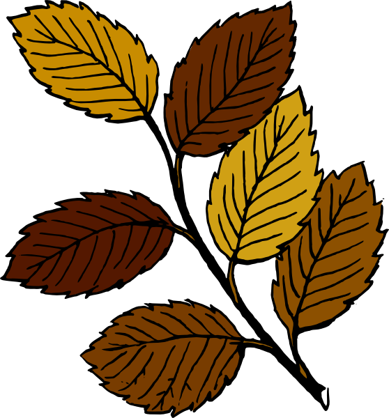 Fall Leaves Cartoon - Cliparts.co