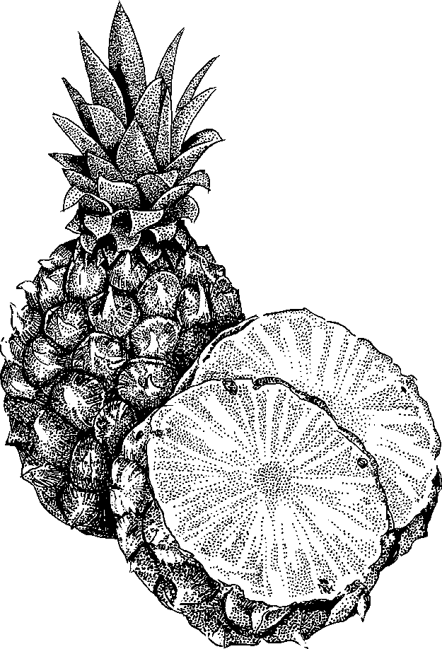 Pineapple Clipart Black And White | Clipart Panda - Free Clipart ...