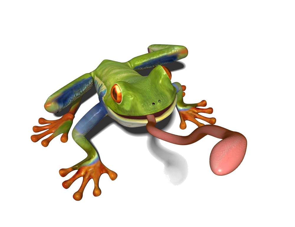 Snake Clip Art Frog Tattoo Page 5