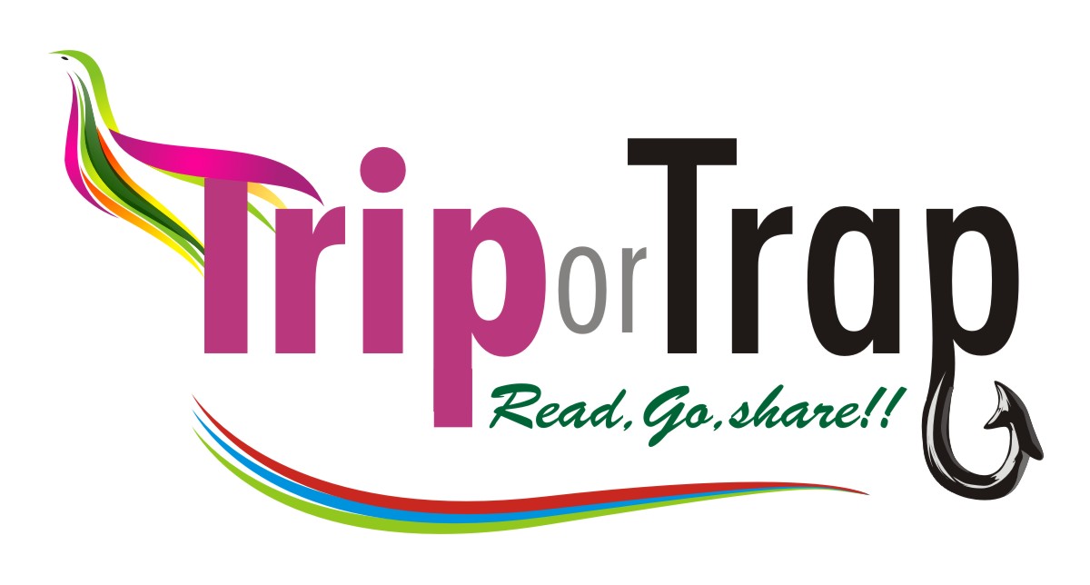 Complete your Wheel of Journey with Reviews on TriporTrap